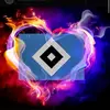 David Oppermann - @davidoppermann1 - TikTok