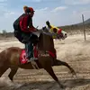 David OR - @david.or77 - TikTok