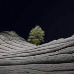 David Oravec - @ig.or.ko - Instagram