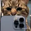 davidorbe411 - @davidorbe411 - TikTok