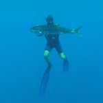 David Orchard - @fishspearer - Instagram
