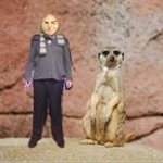 David Orchard - @dorchard99 - Instagram