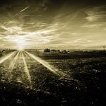 David Orchard - @davidorchardmarketing - Instagram
