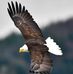 David Orcutt - Facebook