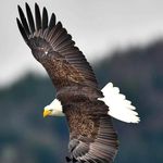 David Orcutt - @david.orcutt.96 - Instagram