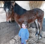 David O'Reilly - Facebook