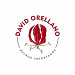 David Orellano - @david_orellano__bulbos__import - Instagram