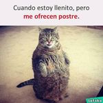 David Orellano - @david_orellano - Instagram