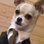 David Oren - @davidoren040 - Instagram