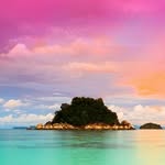 @davidorleans2020 - Instagram