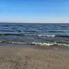 David Gorlick - @david.gorlick - TikTok