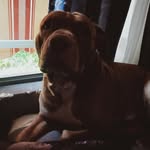 David Orme - @orme3057 - Instagram