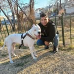 David Ormeño - @davidormeno002 - Instagram