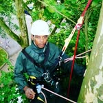 ormes david - @david.ormes - Instagram