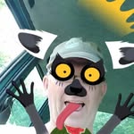David Ormond - @dsormond2024 - Instagram