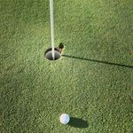 David Orosz - @davorosz - Instagram