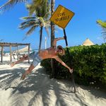 David Orosz - @david_rsz - Instagram