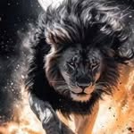 David Orosz - @david_orosz3 - Instagram
