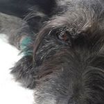 David Orosz - @orosz.d - Instagram