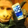 davidorth - @davidorth - TikTok