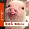 David Oscanoa777 - @davidoscanoa777 - TikTok