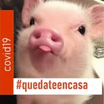 David Oscanoa - @elloco12000 - Instagram