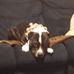 Dave Orlowski - Facebook