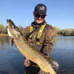 David Otto - @david.otto1983 - Instagram