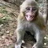 David Ozuna - @david.ozuna290 - TikTok