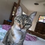 David Page - @palmghetto1509 - Instagram