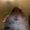 david_page - @david_page - TikTok