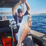 David Palfrey - @thefishfkr - Instagram