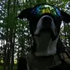 dave palmatier - @dave.palmatier - TikTok