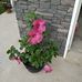 Dave Paluch - Facebook