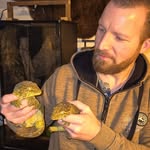 David•🦎 I love Geckos with pancake paws 🥞 👋 🦎 - @exotic.pets.and.plants - Instagram