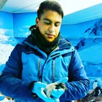 David Mendoza - @david.panteras - Instagram