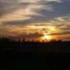 davidparlin7 - @davidparlin7 - TikTok