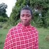 David Parma - @david.parma1 - TikTok
