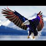 David Parramore - @david.parramore.7 - Instagram