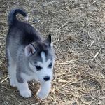 David Partee - @partee_david - Instagram
