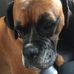 David Pascoe - Facebook