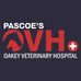 Dr David Pascoe BVSc PhD  OVH Repro - Facebook