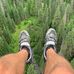 David Passaro - Facebook