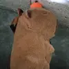 David Pastor - @david.pastor54 - TikTok