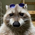 David Patterson - @l3lessed_david - Instagram