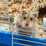 David Paull - @dmp13cstx - Instagram