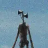 David_pauls8 - @uesy3747272 - TikTok