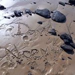 David Noemie Pauwels - @davidnoemiepauwels - Instagram