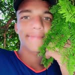David Pava - @david.pava.5686 - Instagram
