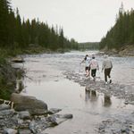 David Pawlak - @david_pawlak - Instagram